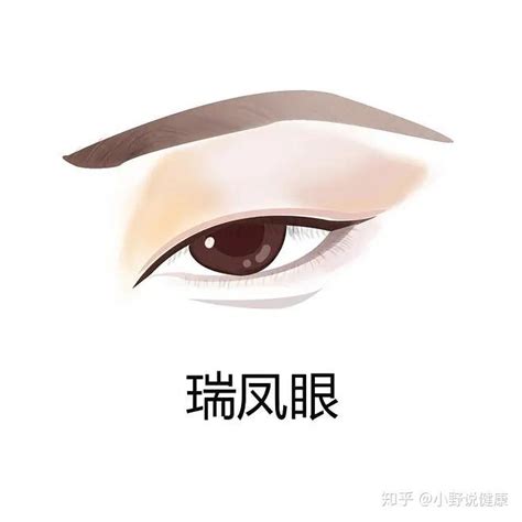 瑞鳳眼女|如何判断自己是哪种类型的眼睛？